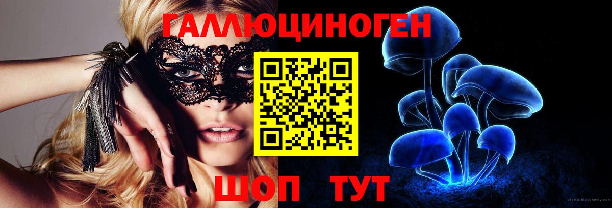 Галлюциногенные грибы прущие грибы  Вход с VPN  Шебекино 