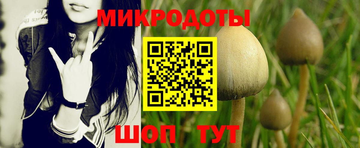 Псилоцибиновые грибы прущие грибы Шебекино